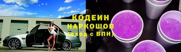 индика Нефтекумск