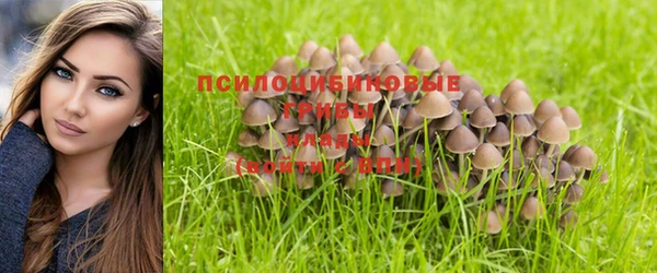 меф VHQ Новозыбков