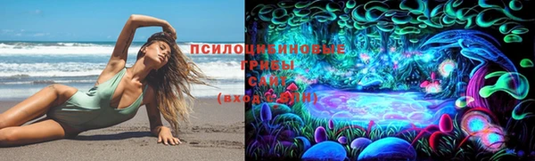 индика Нефтекумск