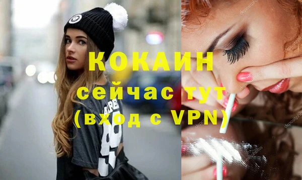 СК Новодвинск